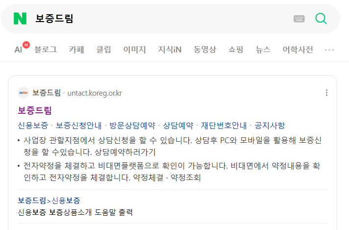 사업자 대출 후 폐업 보증드림 사이트 포털 검색 결과